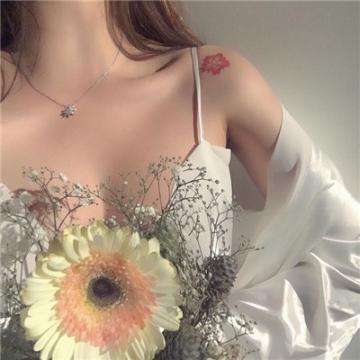 海星体育app下载ios